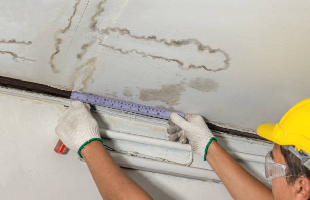 Reliable Flood Cleanup contractor in Mountainside, NJ by Water Damage Irwin